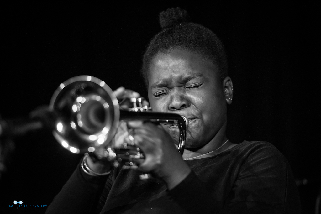 On The Playlist - Curated playlists, published monthly